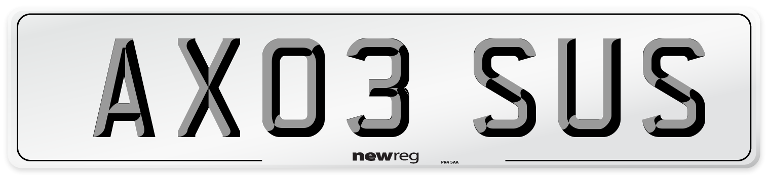 AX03 SUS Number Plate from New Reg